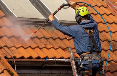 Démoussage et hydrofuge de toiture à Plédran